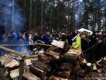 waldweihnacht new