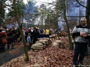 waldweihnacht new