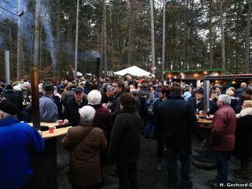 waldweihnacht new