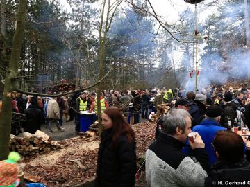 waldweihnacht new