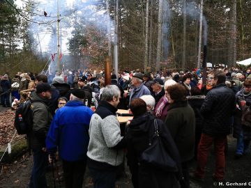 waldweihnacht new