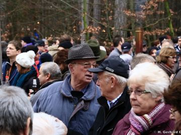 waldweihnacht new