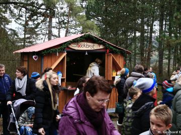 waldweihnacht new