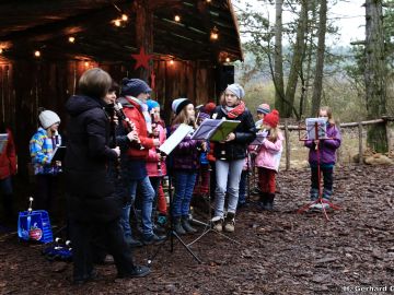waldweihnacht new