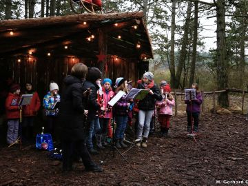 waldweihnacht new