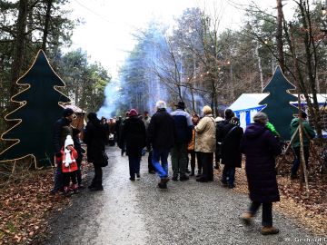 waldweihnacht new