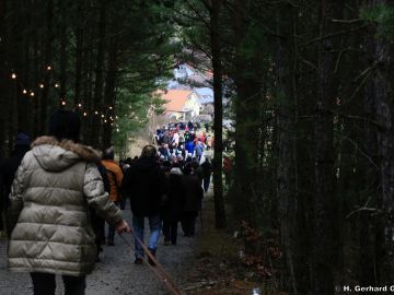 waldweihnacht new