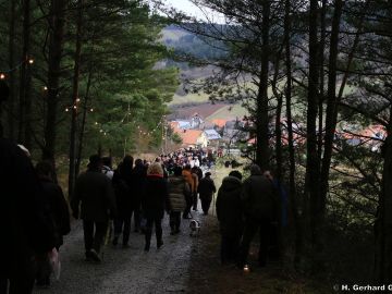 waldweihnacht new