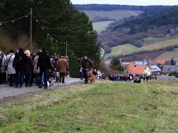 waldweihnacht new