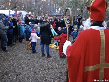 waldweihnacht 2016