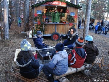 waldweihnacht 2016