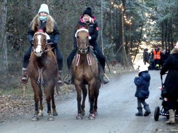 waldweihnacht 2016