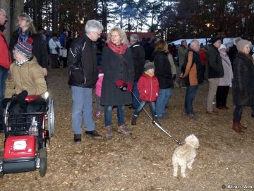 waldweihnacht 2016