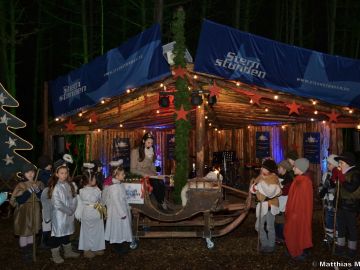 waldweihnacht 2016